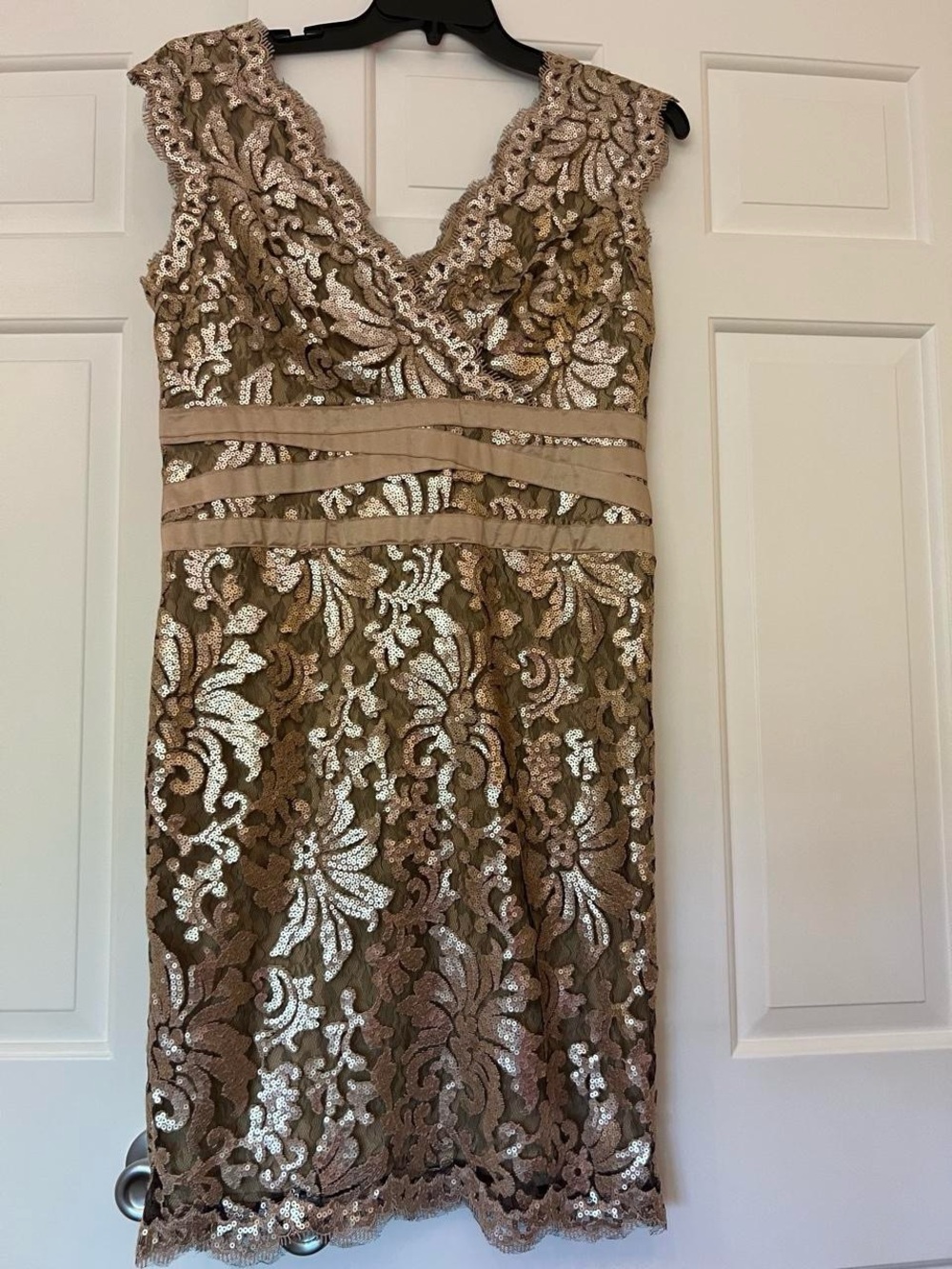 Tadashi Shoji Beige and Gold Lace Sequin V-Neck Dress